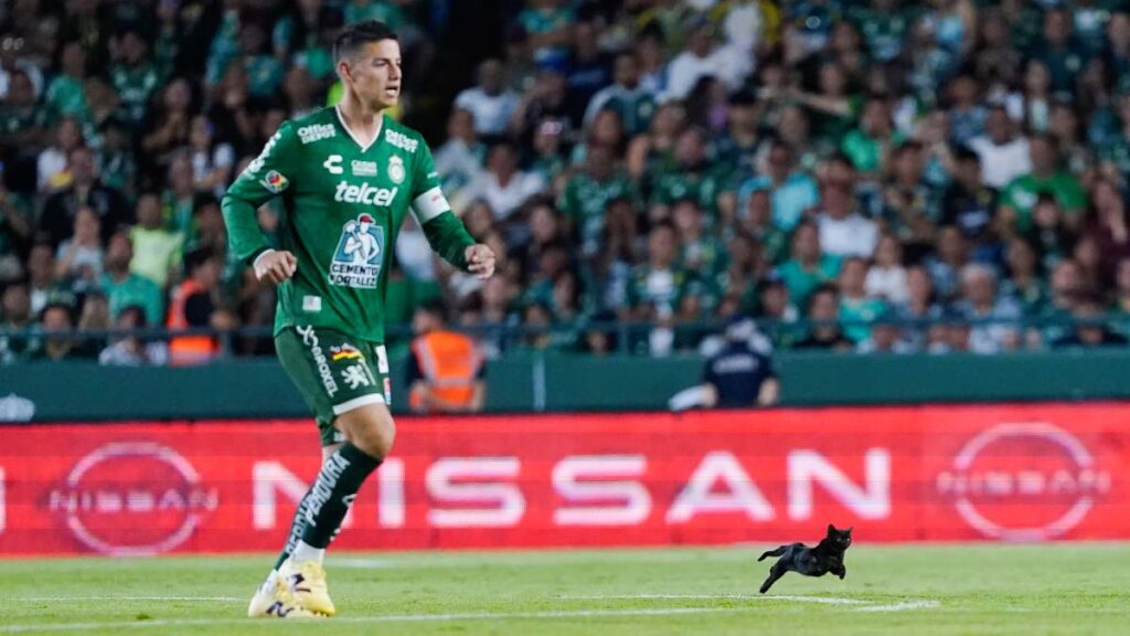 Un gato negro se mete al León vs Monterrey
