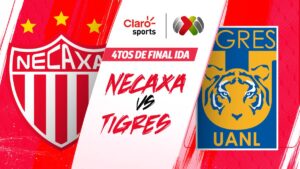 Ver en vivo online Necaxa vs Tigres: Transmisión Liguilla MX 2025; cuartos de final