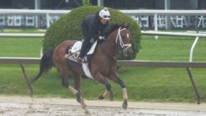 Preakness Stakes 2025: Fechas, horarios y dónde ver la carrera de caballos; picks y favoritos