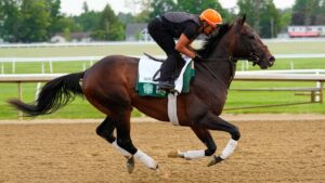 Belmont Stakes 2025: Fechas, horarios y dónde ver la carrera de caballos; picks y favoritos